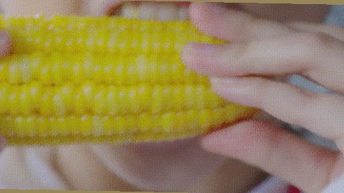 《娱乐吃瓜酱》引发热议:虐猫小说背后的娱乐圈阴影与社会反思