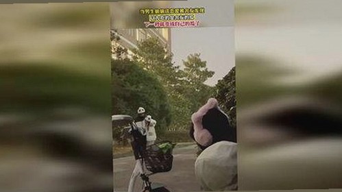 从爆火小说到女权号:娱乐吃瓜文化的前世今生🕵️♀️