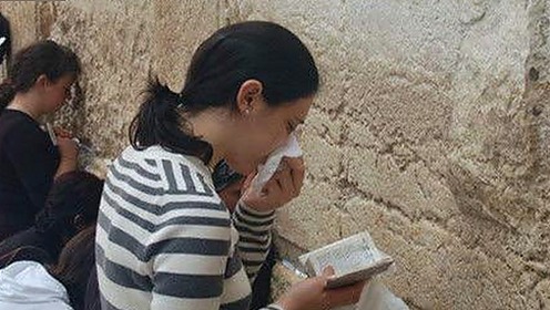 娱乐圈“吃瓜小说”引发全民狂欢，明星们的态度大不同👀