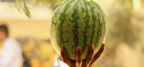 娱乐圈冰雨风暴引爆热议，沈腾喜剧之路与吃瓜三人组多彩表现全解析